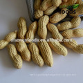 Find Wholesale Peanut for Buyers Worldwide